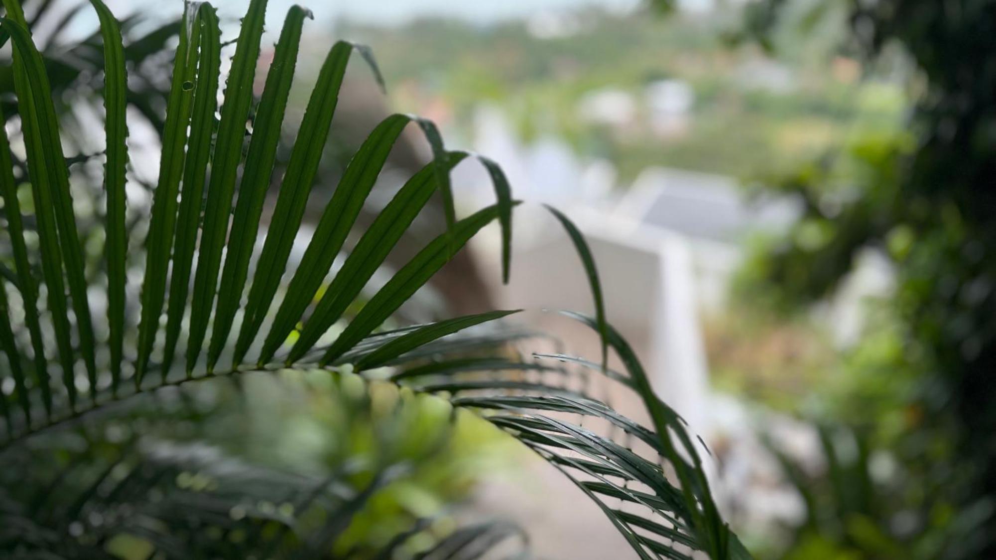 Anzhu Seamate Villa Samui หน้าทอนเบย์ ภายนอก รูปภาพ